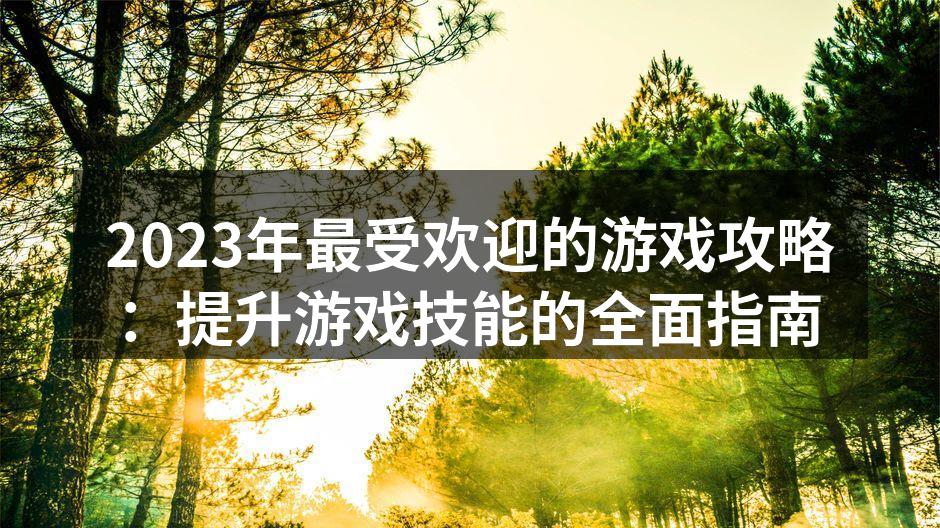 玩家在游戏中的战斗场景