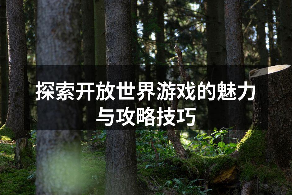 探索开放世界游戏的魅力与攻略技巧
